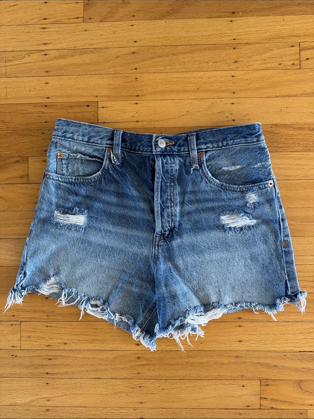 Free People We the Free Distressed Denim Shorts